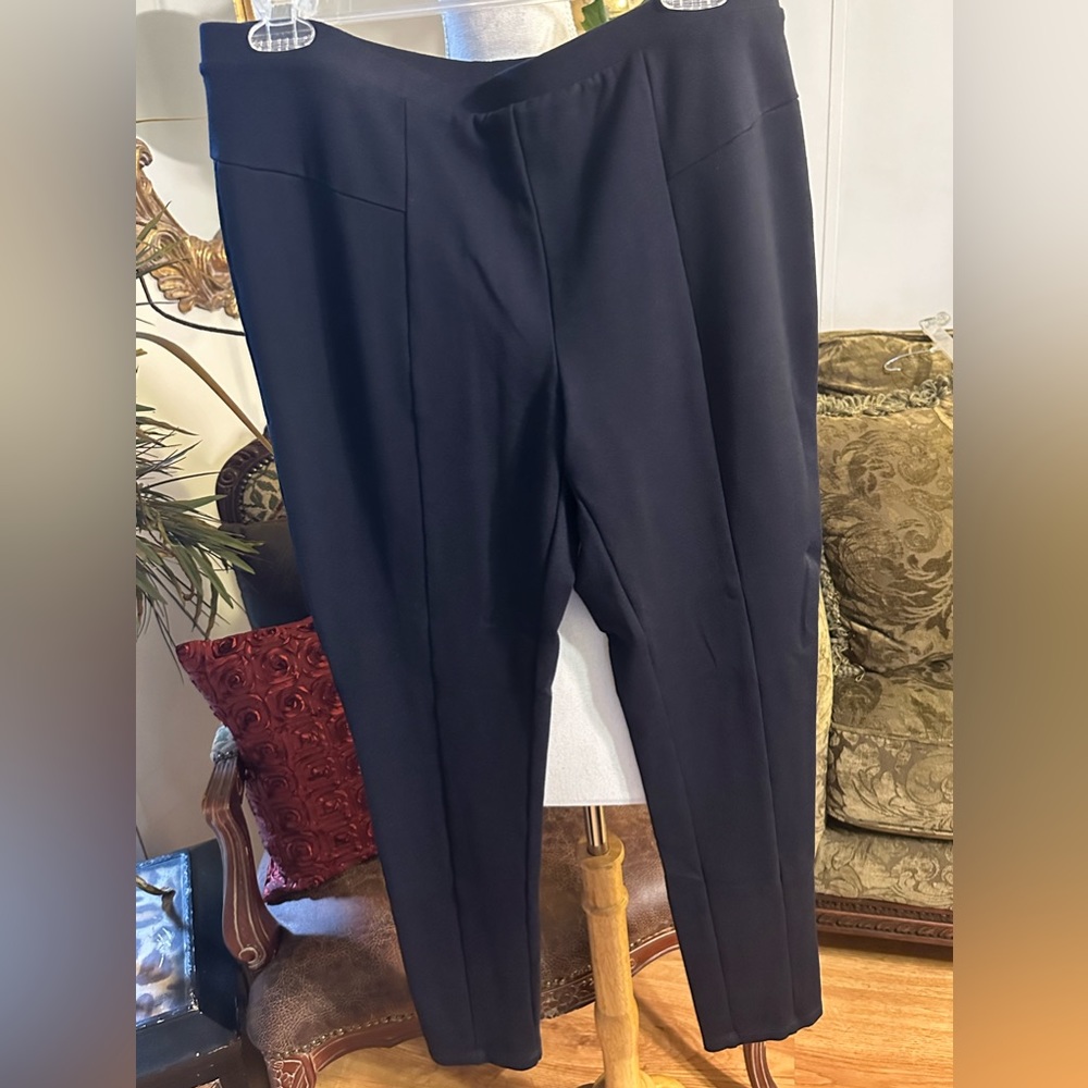 Philosophy Size Large Blue Pants